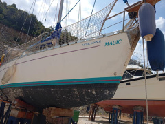 Atlantic Magic 31