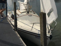Albatros 570