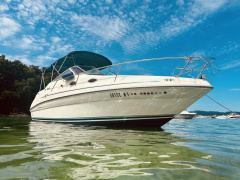 Sea Ray 240 Sundancer