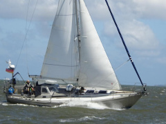 Koopmans 36