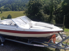 Campion Allante 485 VR