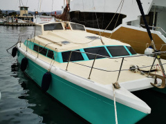 Prout Snowgoose 37