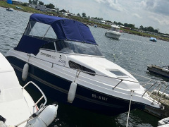 Drago 550