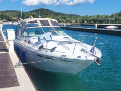 Sea Ray Sundancer 290