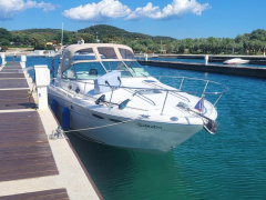 Sea Ray Sundancer 290