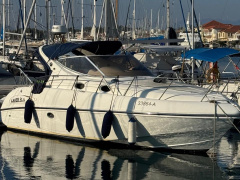 Salpa Laver 31.5