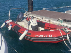 Zodiac Pro 500