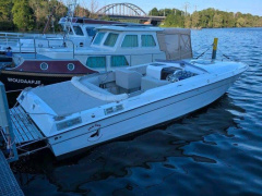 Chris Craft Scorpion 260 SL