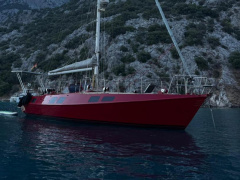Reinke Hydra