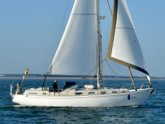 Rival 41 C