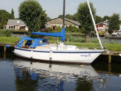 Wibo van Wijk wibo 930