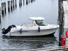 Quicksilver Pilothouse