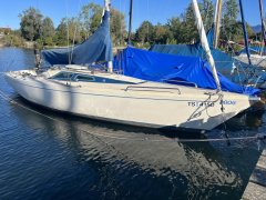 O.L.-Boats International 806