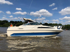Sea Ray Sundancer 250