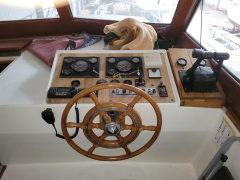 Cytra Ambassador 38