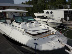 Sea Ray Sundancer 320