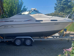 Sea Ray 230 DA