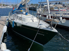 Olsen 29