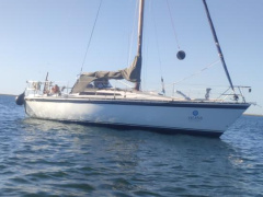 Kalik/Lewin Kalik 30