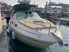 Sea Ray 255 DA