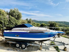 Regal 233 XL Ambassador