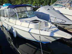 Seaswirl Striper 2150 Walkaround