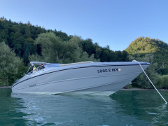 Stingray 225 SX
