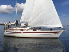 Aphrodite 40
