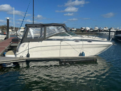 Sea Ray 260 DA Sundancer
