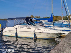 Sea Ray 250 DA