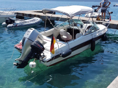 Hellwig Milos V630