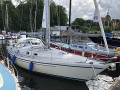 Forgus 36