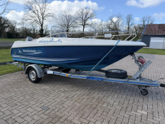 Quicksilver Commander 500