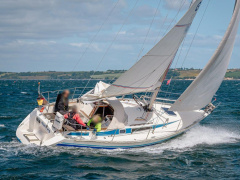 Finngulf 31