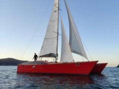 Wadvogel 38