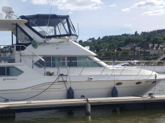 Cruisers 3950