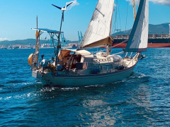 Klaus Baess Great Dane 28