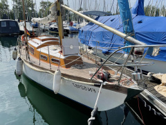 Anne Wever Trintella 1a