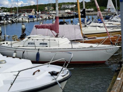 Albin Accent 26