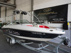 Sea Ray 205