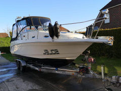 Rinker Fiesta Vee 265