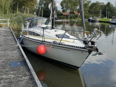 Widholms Beason 31