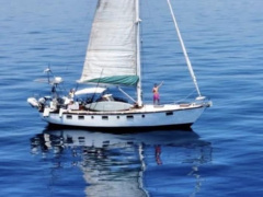 Fijian Bermudian 44