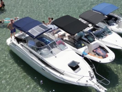 Bayliner DC 2655
