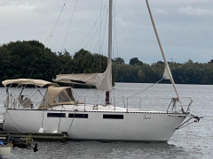 Hai 830