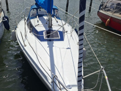 Mallard Start 7