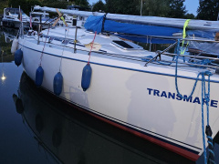Pegaz 28
