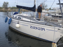 Pegazus 969