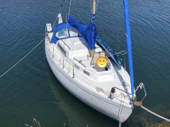 Albin Vega 27