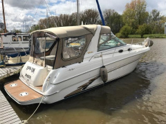 Sea Ray 290